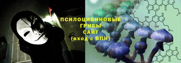 гидра Алзамай