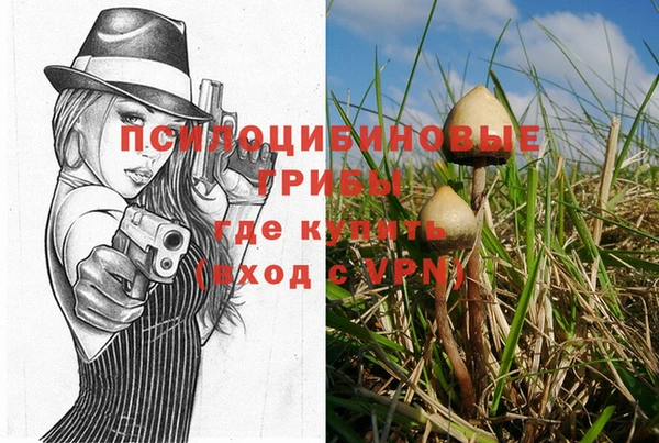 индика Покачи
