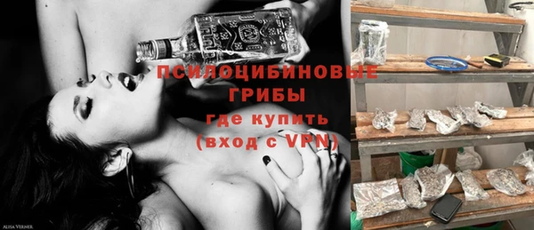 гидра Алзамай