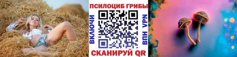 как найти   Сосенский  Галлюциногенные грибы мицелий 